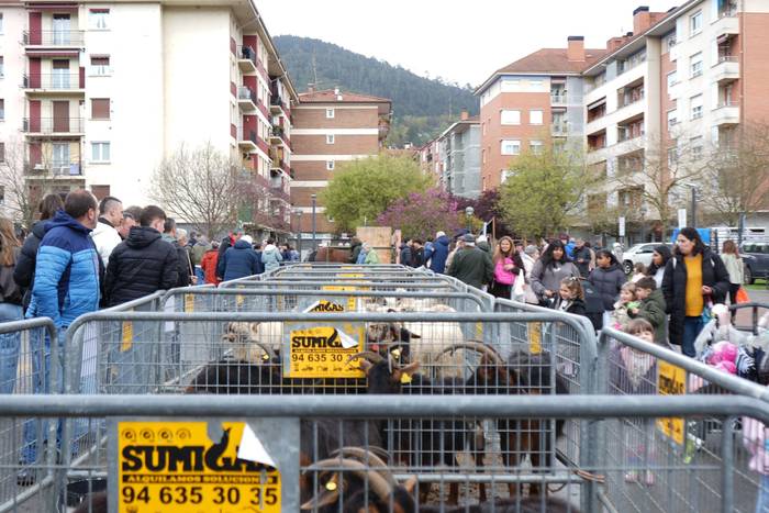 Euriak ez du zapuztu Dolumin 16 1774623099192