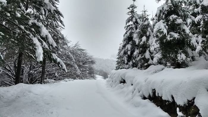 Gorbeialdea eta Orozko, elurtuta