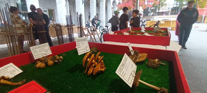 Ziza garaia iritsi da Urduña 5 1760971490328