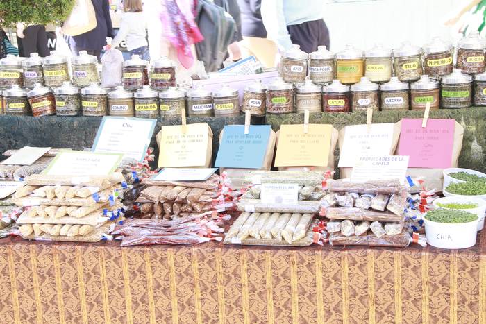 Dolumin Barikuak eta Korrika 46 1491598359788