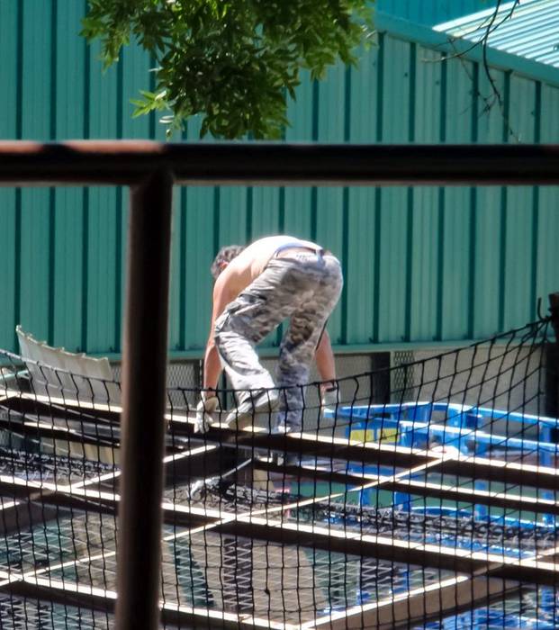 [KOMUNITATEA] Amiantoa Latio 2 1500980995297