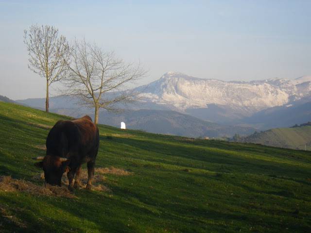 Agur esan baino arinago... 8 1523298205048