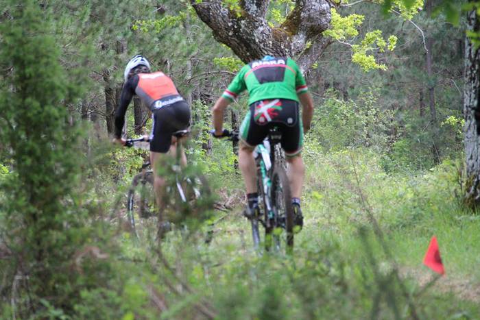 Lasterkari ugari lehiatu zen 13 1494322882254