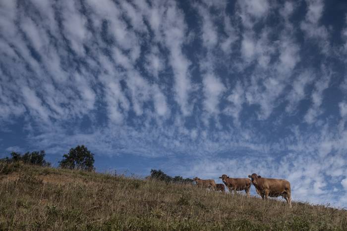 Eguraldia lagun izan zuten a 3 1756639286683