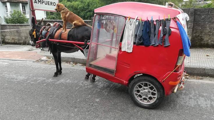 Donejakue bidea 5. aldiz egingo du Gines Lopez Marinek, bere mando, katu, txakur eta oiloarekin