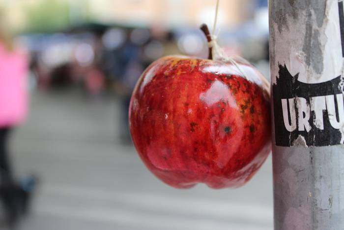 Laudioko Sagar Eguna 5 1509299495904