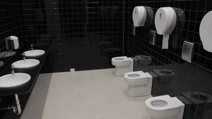 Iñigo Urkullu Lehendakariak  43 1504264292498