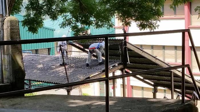 [KOMUNITATEA] Amiantoa Latio 8 1500981035759