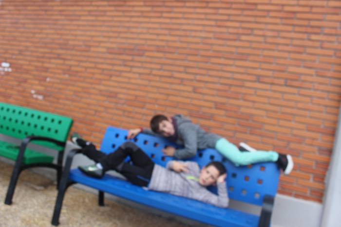 ARGAZKIEKIN JOLASEAN 13 1511250959760