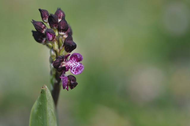 Itzultzeak 1 1619015038483