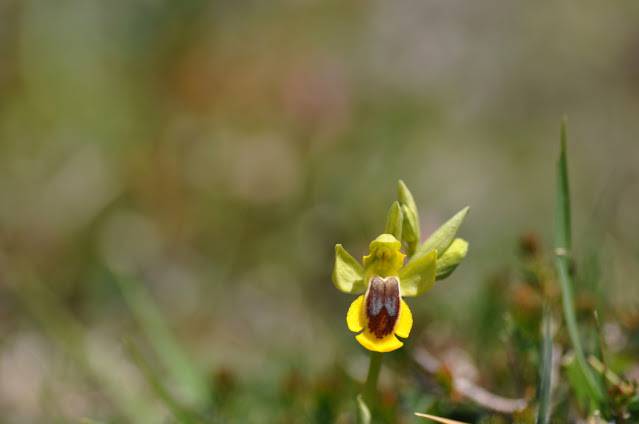 Itzultzeak 13 1619015040676