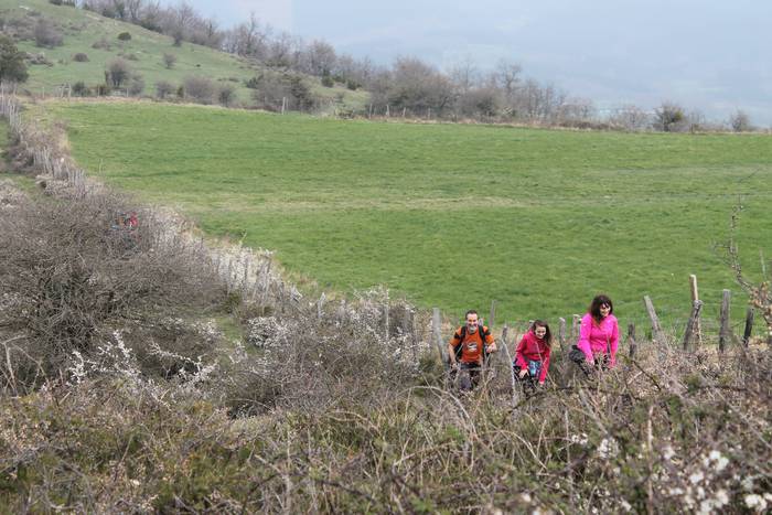 Jende ugarik parte hartu zue 17 1490024443733