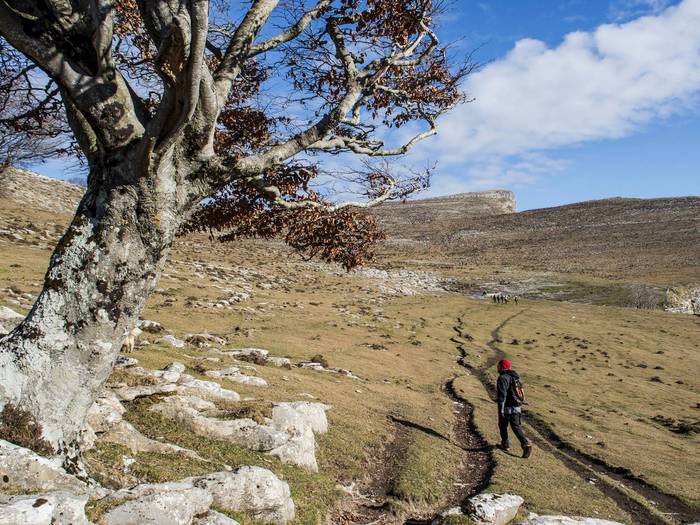 Txarlazotik Tologorrira joat 17 1485969375166