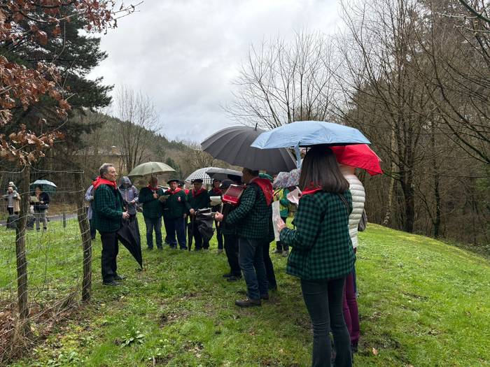 Gernikako zuhaitzaren kimua  19 1770844199275