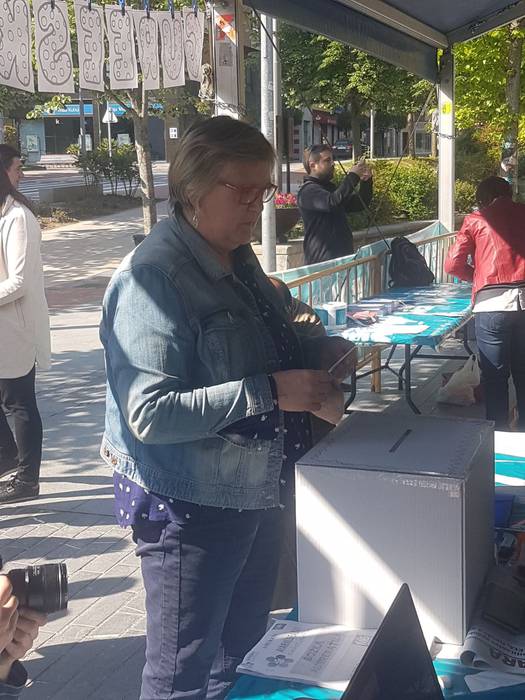 Amurrioko herri kontsulta