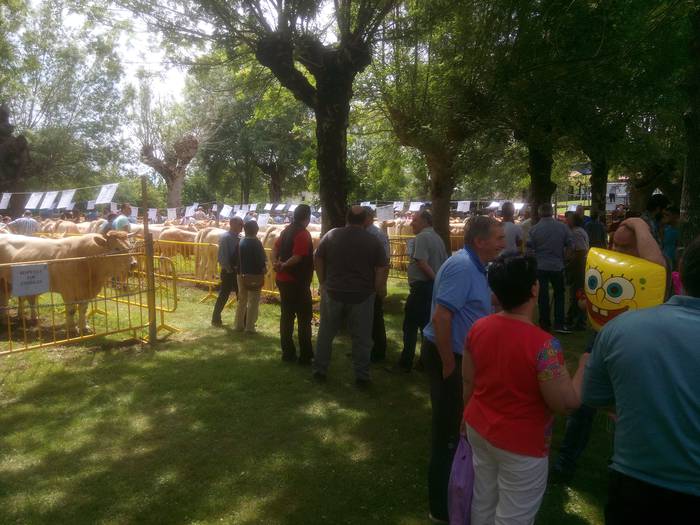 San Isidro Azokak jende ugar 70 1494853459710