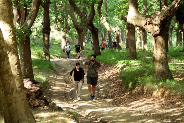 Dozenaka lagun igo dira esku 54 1620624409427