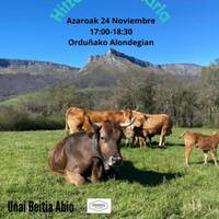 Abeltzaintza birsortzailea