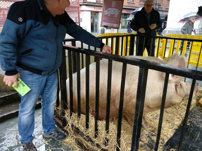 Tomasa XI. sanblasetako prot 11 1517485257683