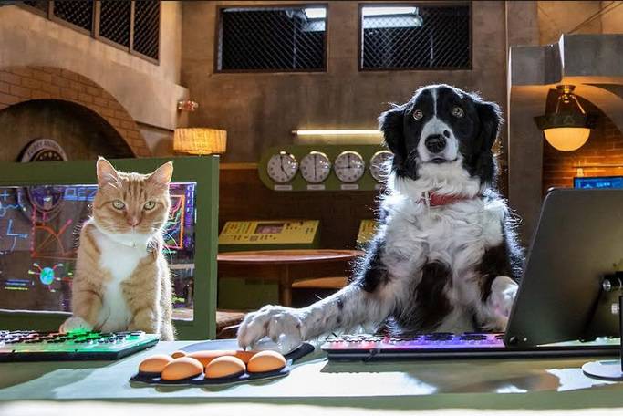 "Como perros y gatos 3: la patrulla unida"