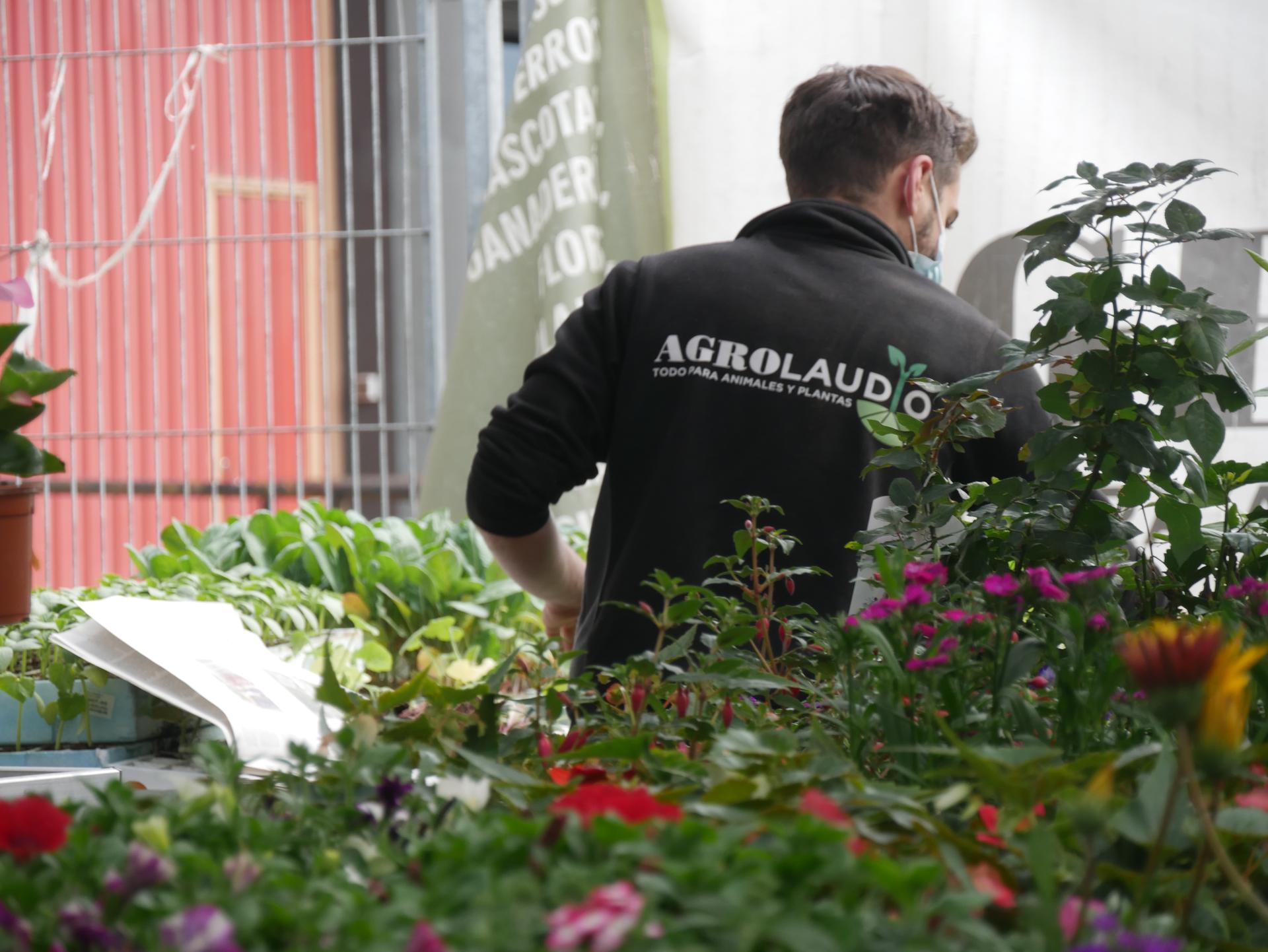 "Gertutasuna eta bezeroaren beharrei moldatzeko gaitasuna dira Agrolaudioko ezaugarriak"
