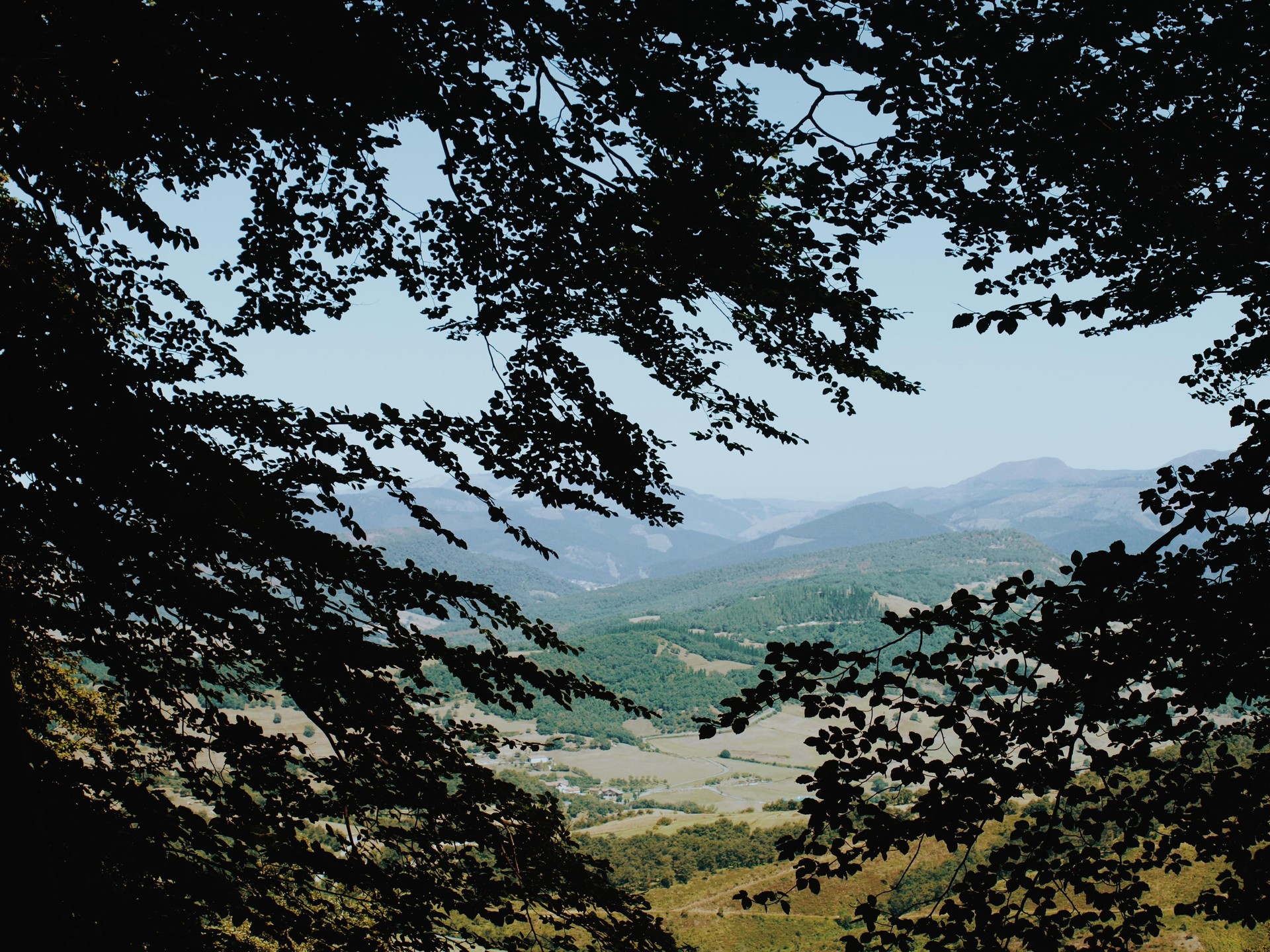 Aiaraldea