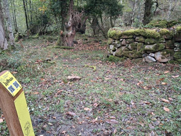 Supelaur Elkarteko zendutako 1 1761507434419