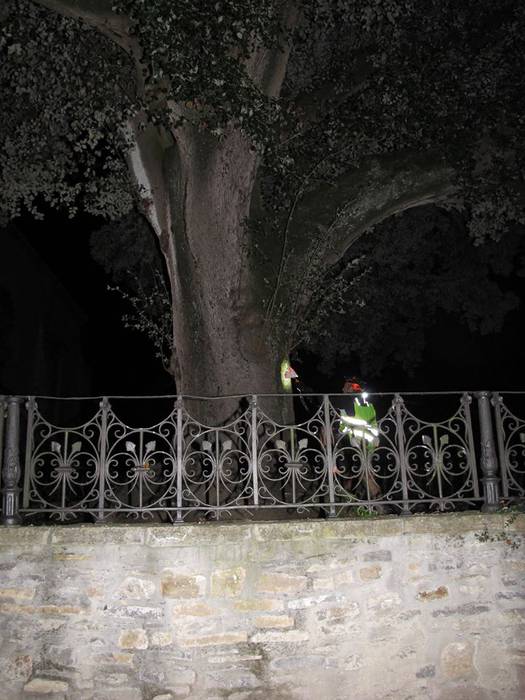 24 orduz eskualdeko mendiak, 7 1505803353091