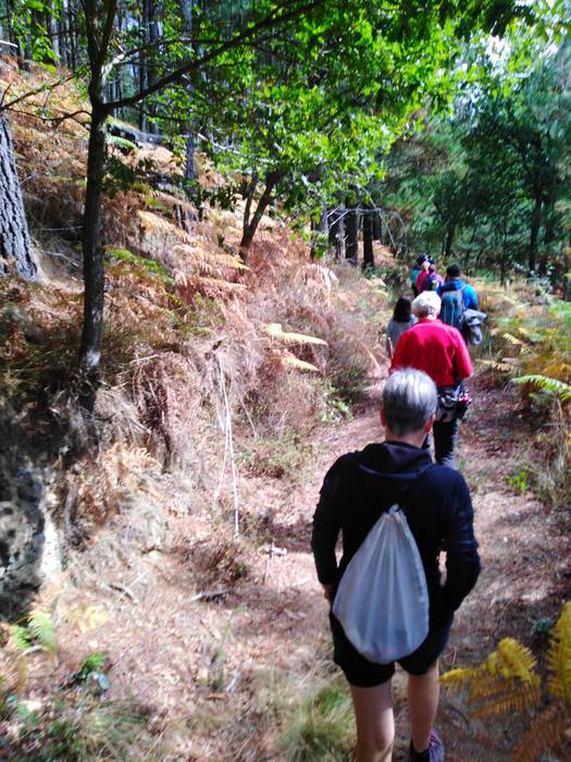 'Euskararen eguna' ospatu du 26 1664138632574