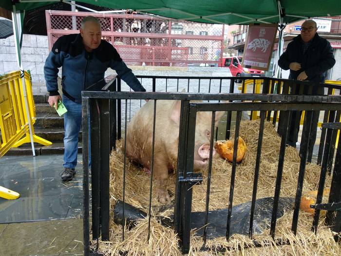 Tomasa XI. sanblasetako prot 7 1517485215997