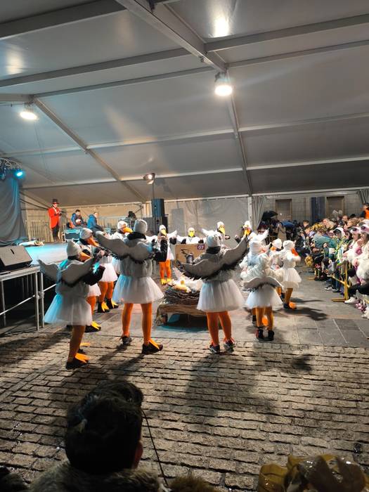 Foru plazako karparen aterpe 15 1771200633810