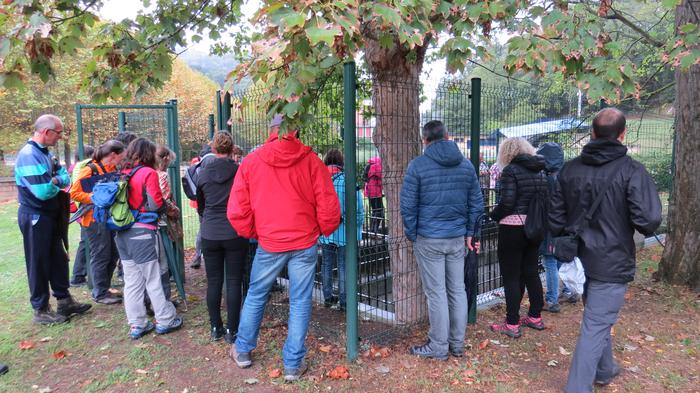 Herriko egitura geologikoa e 20 1508827149178