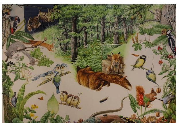 Naturari buruzko ilustrazioak biltzen dituen erakusketa ikusgai dago La Casonan