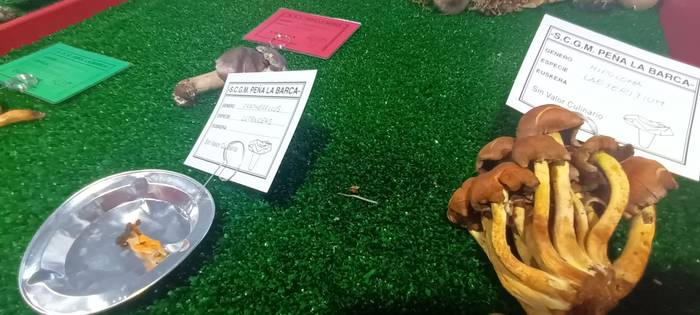 Ziza garaia iritsi da Urduña 10 1760971494204