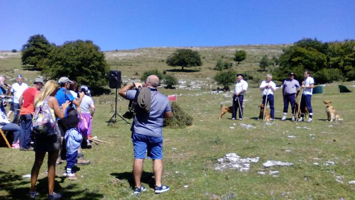 Artzainak izan ziren nagusi  50 1535893456584