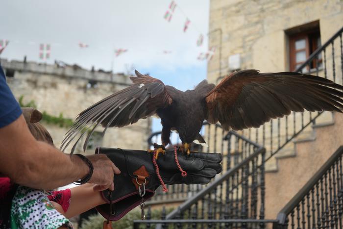 Falkoneria ikuskizuna antola 29 1752934085630