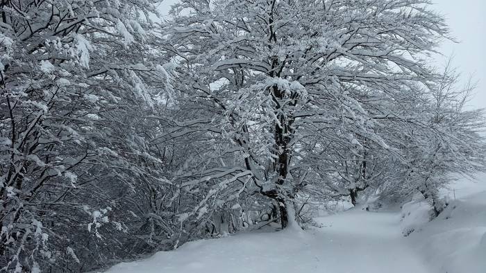 Gorbeialdea eta Orozko, elurtuta