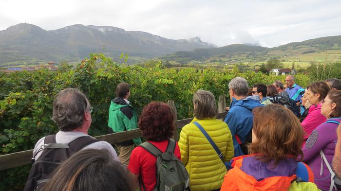 Herriko egitura geologikoa e 50 1508828028519