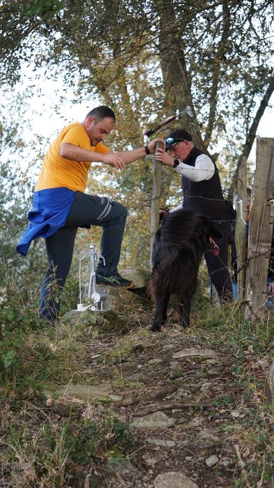 Omenaldiek bereziki hunkigar 38 1765401453894