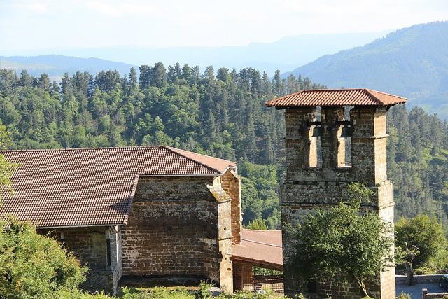 Ermualdeko flora aztertzeko eta sailkatzeko kontratua esleitu du udalak