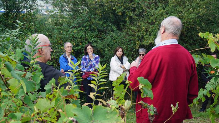 Txakolina Urduñan 4 1759234540578