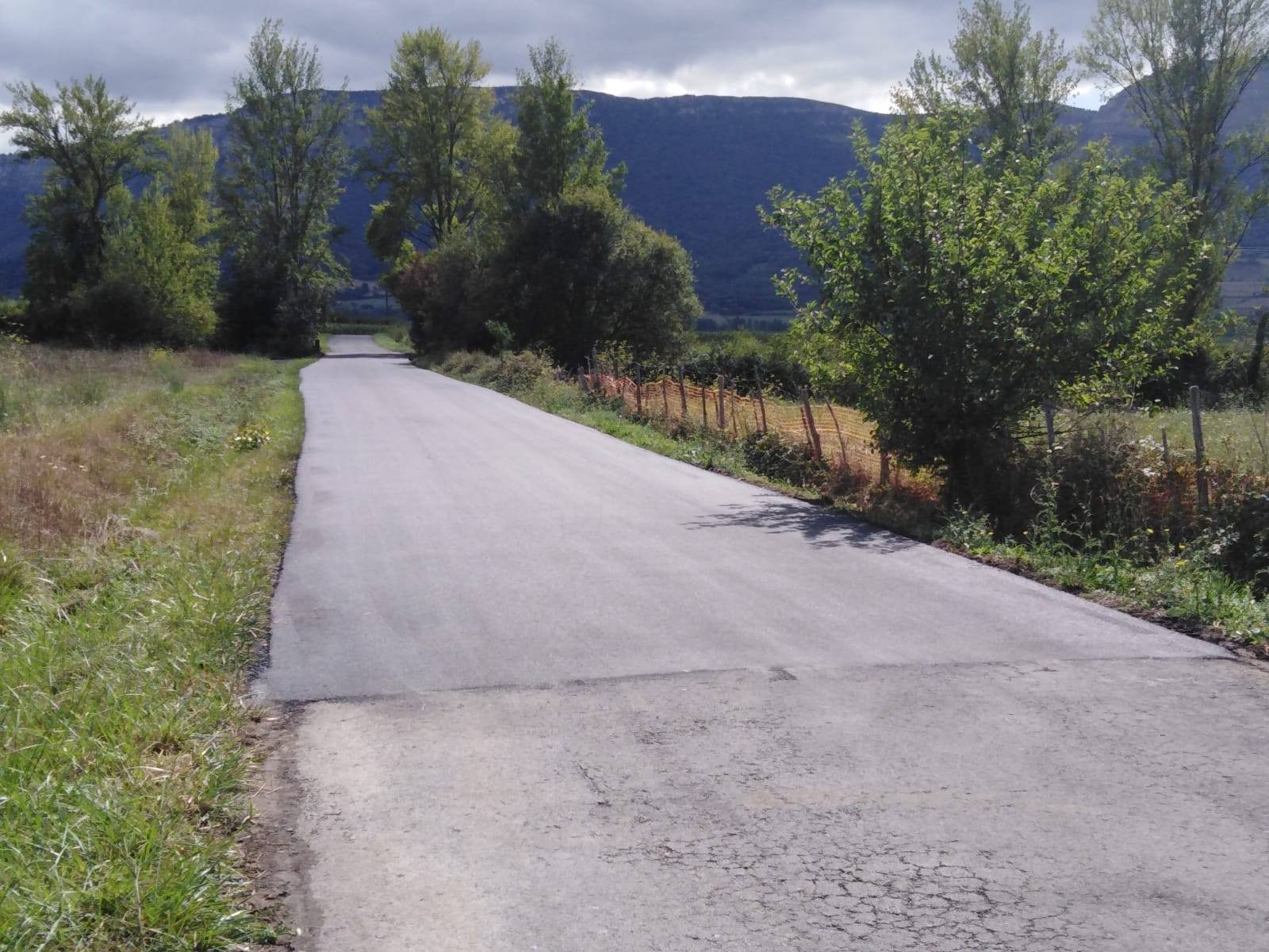 Pista eta bideen konpoketak aurrera darrai  