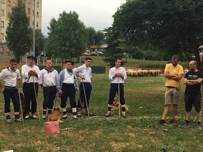 Castellersek, bertsolariek,  31 1503689048291