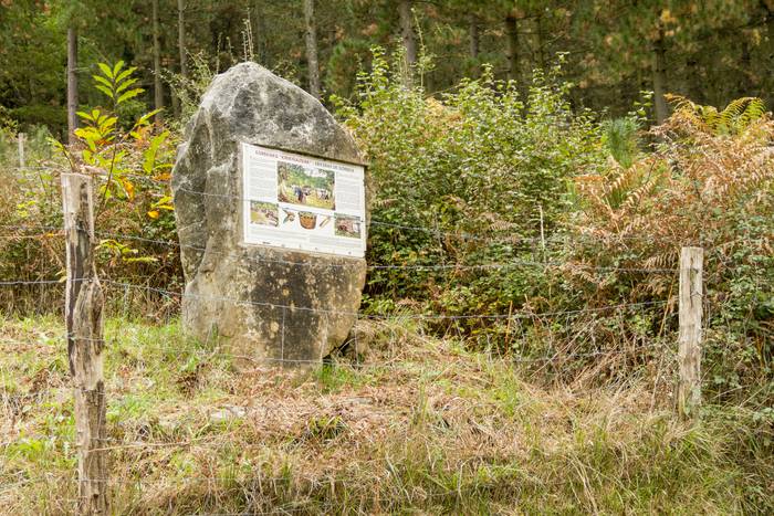 Jai giroa mendira igo dute O 32 1509351975621