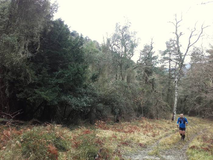 Mendizale ugari bildu zituen 26 1489053834410