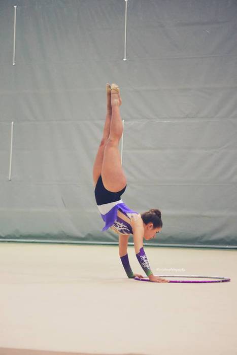 Dozenaka parte hartzaile X.  86 1490877387050