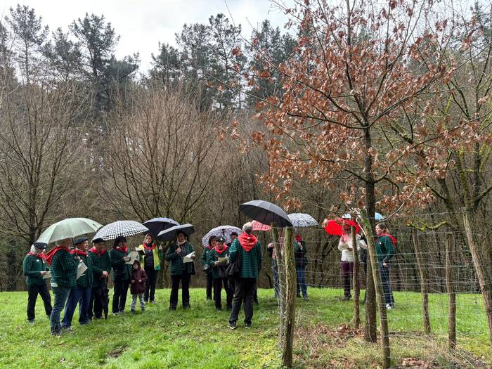 Gernikako zuhaitzaren kimua  27 1770844239705