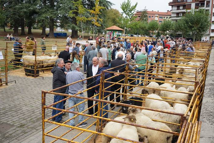 Yolanda Elosegui, Maria Ange 15 1758471075849