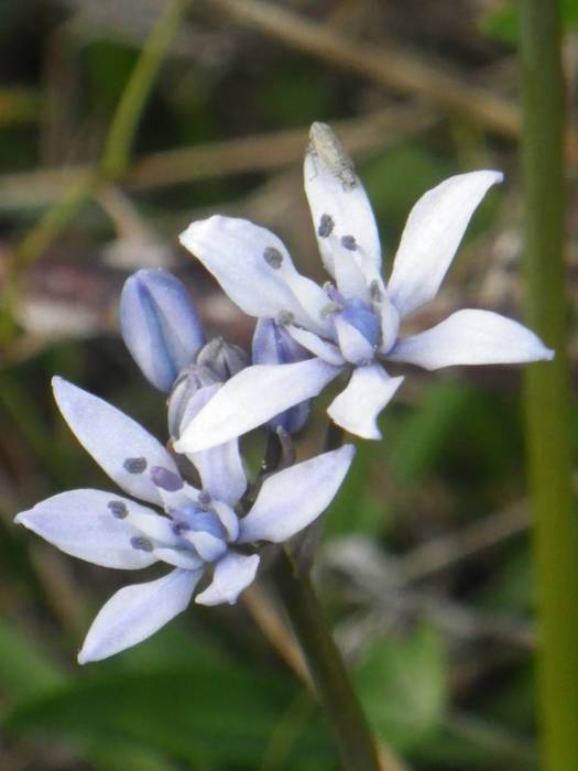 Agur esan baino arinago... 2 1523298169603