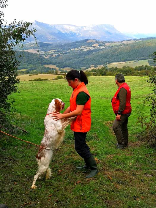 Asteburu bikaina igaro dute  1 1759091676030